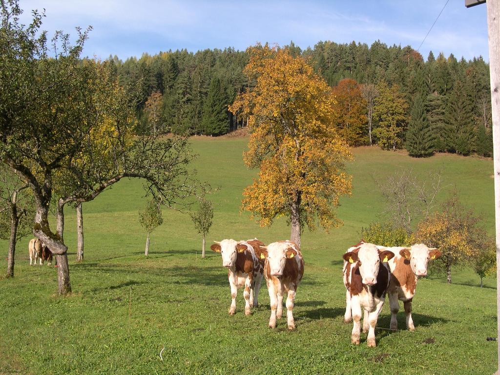 Ferienhaus Lenzau Strohmarkt Esterno foto